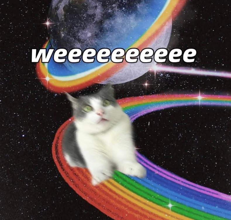 weeeeeeeeee