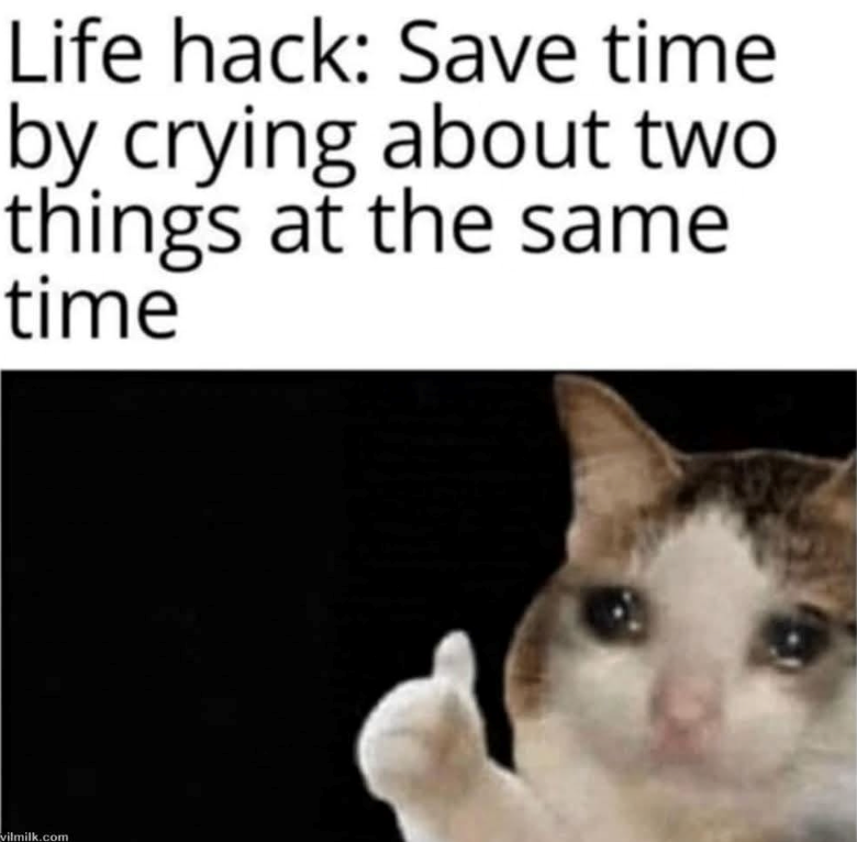 Life hack: Save time by crying about two things at the same time vilmilk.com