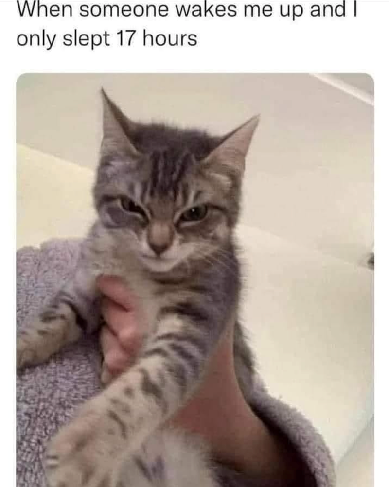 When someone wakes me up and I only slept 17 hours