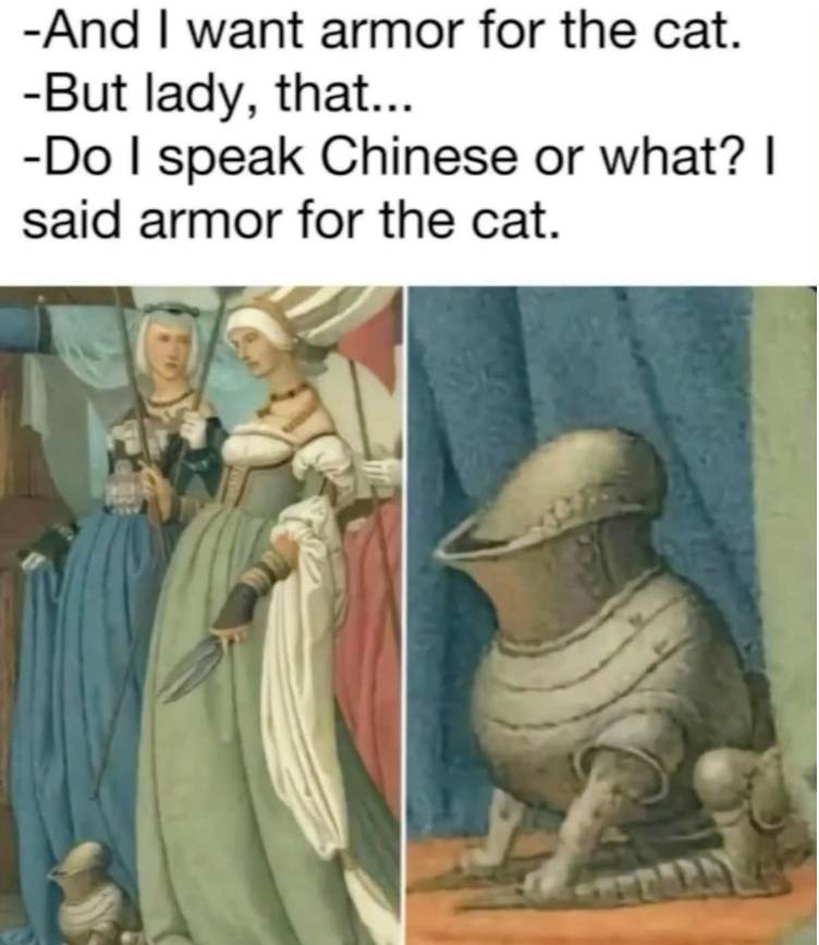 -And I want armor for the cat. -But lady, that... -Do I speak Chinese or what? I said armor for the cat.