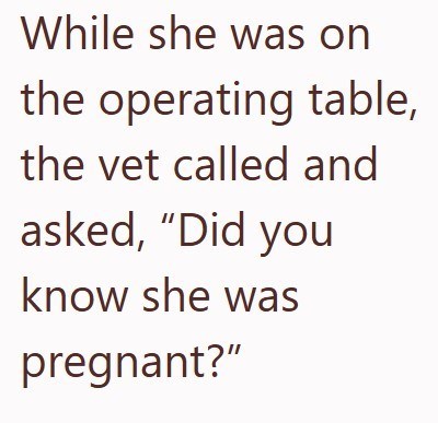 While she was on the operating table, the vet called and asked, "Did you know she was pregnant?"