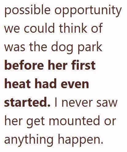 possible opportunity we could think of was the dog park before her first heat had even started. I never saw her get mounted or anything happen.
