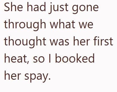 She had just gone through what we thought was her first heat, so I booked her spay.