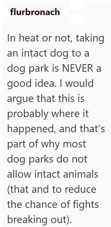 flurbronach In heat or not, taking an intact dog to a dog park is NEVER a good idea. I would argue that this is probably where it happened, and that's part of why most dog parks do not allow intact animals (that and to reduce the chance of fights breaking out).
