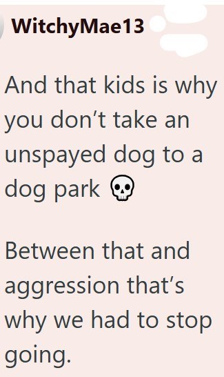 Witchy Mae13 And that kids is why you don't take an unspayed dog to a dog park Between that and aggression that's why we had to stop going.