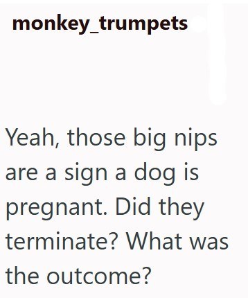 monkey_trumpets Yeah, those big nips are a sign a dog is pregnant. Did they terminate? What was the outcome?