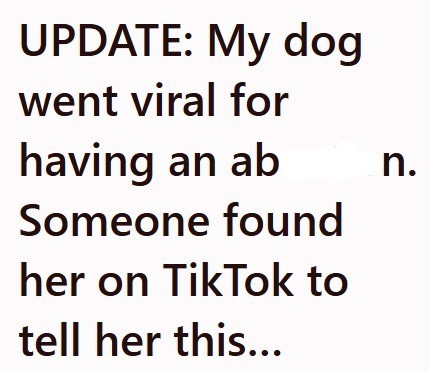 UPDATE: My dog went viral for having an ab n. Someone found her on TikTok to tell her this...