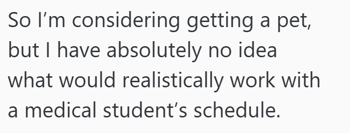 So I'm considering getting a pet, but I have absolutely no idea what would realistically work with a medical student's schedule.