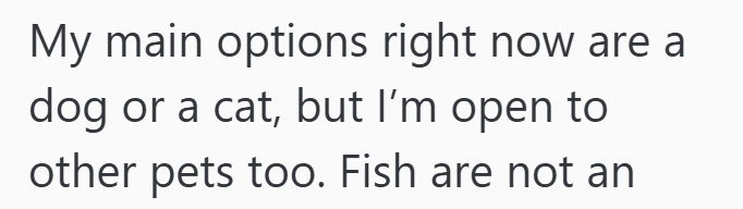 My main options right now are a dog or a cat, but I'm open to other pets too. Fish are not an