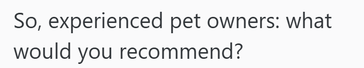 So, experienced pet owners: what would you recommend?