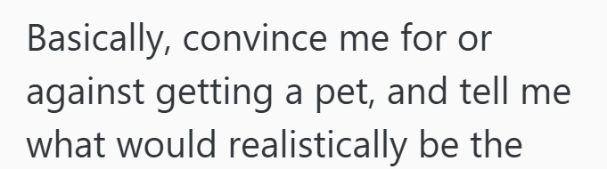 Basically, convince me for or against getting a pet, and tell me what would realistically be the