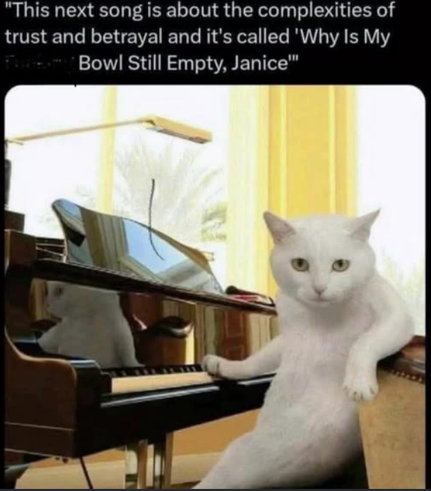 "This next song is about the complexities of trust and betrayal and it's called 'Why Is My Fabbor Bowl Still Empty, Janice"