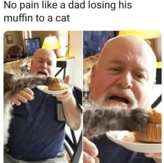 No pain like a dad losing his muffin to a cat
