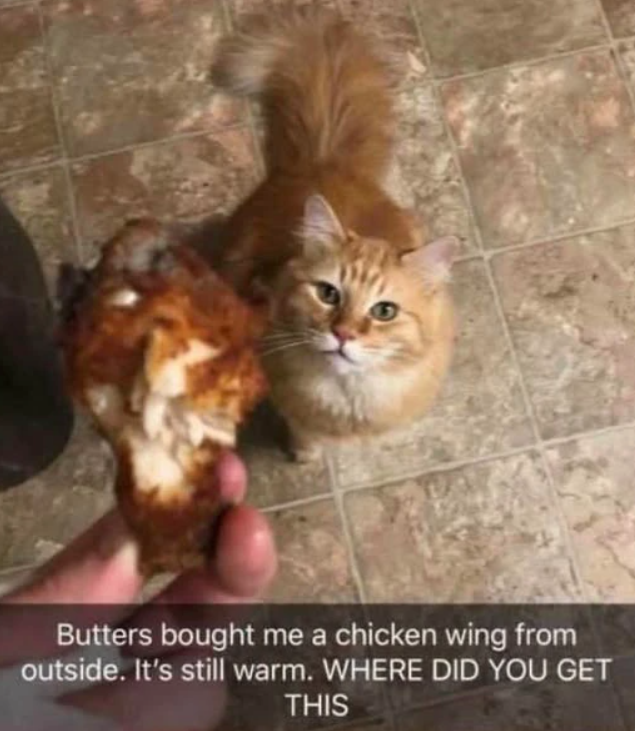 Butters bought me a chicken wing from outside. It's still warm. WHERE DID YOU GET THIS