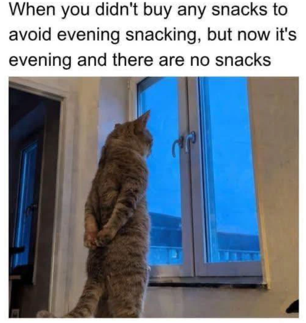 When you didn't buy any snacks to avoid evening snacking, but now it's evening and there are no snacks