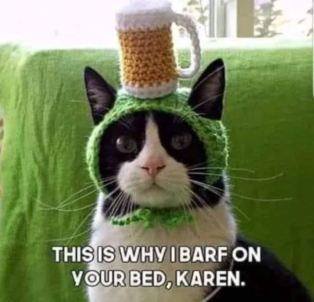 THIS IS WHY IBARF ON YOUR BED, KAREN.