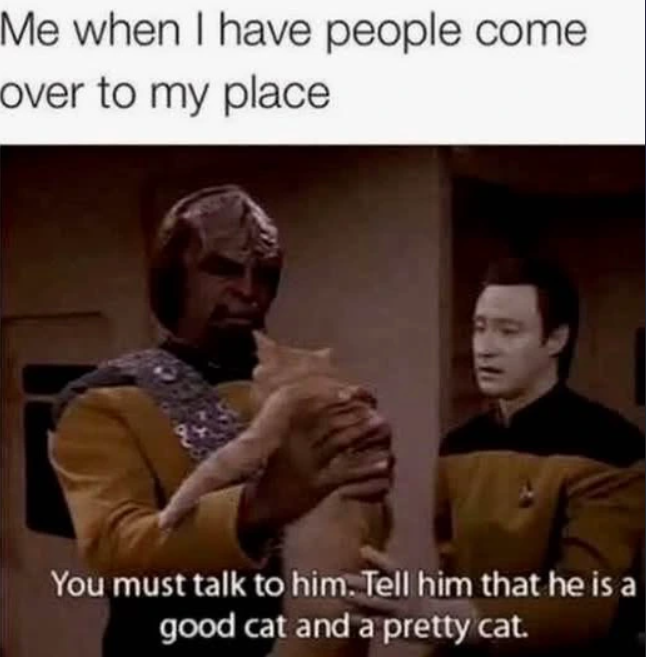 Me when I have people come over to my place You must talk to him. Tell him that he is a good cat and a pretty cat.