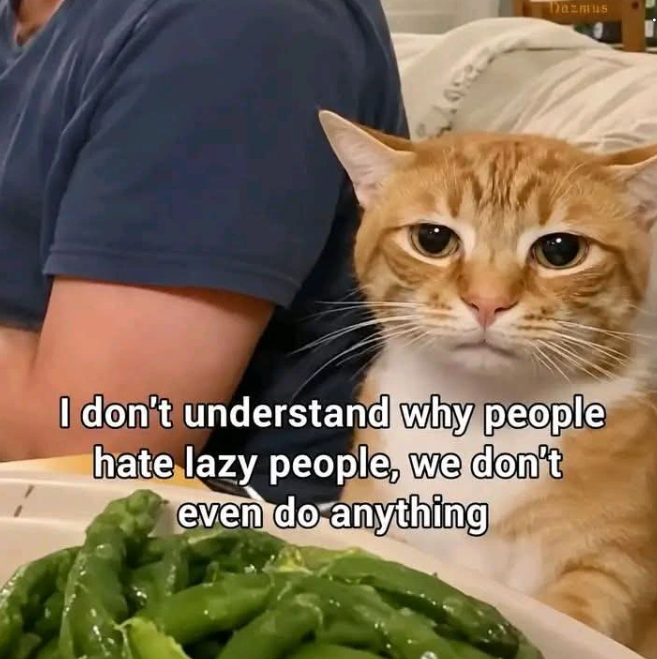 Dazmus I don't understand why people hate lazy people, we don't even do anything
