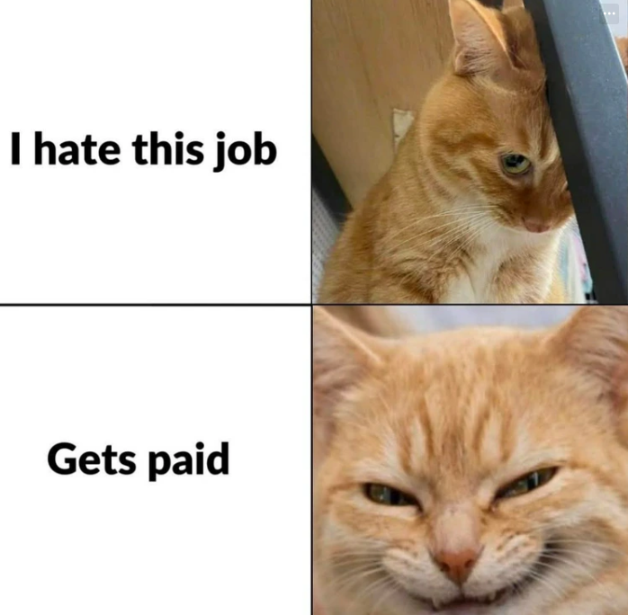 I hate this job Gets paid