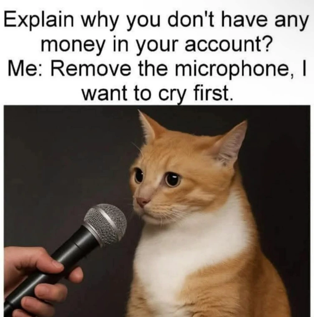 Explain why you don't have any money in your account? Me: Remove the microphone, I want to cry first.