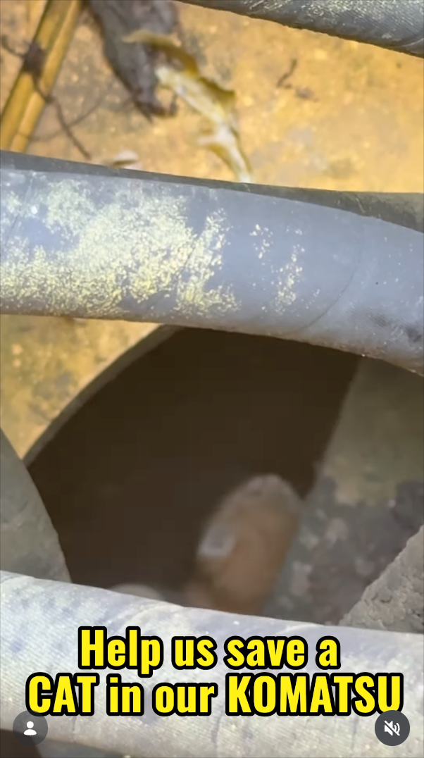 Help us save a CAT in our KOMATSU