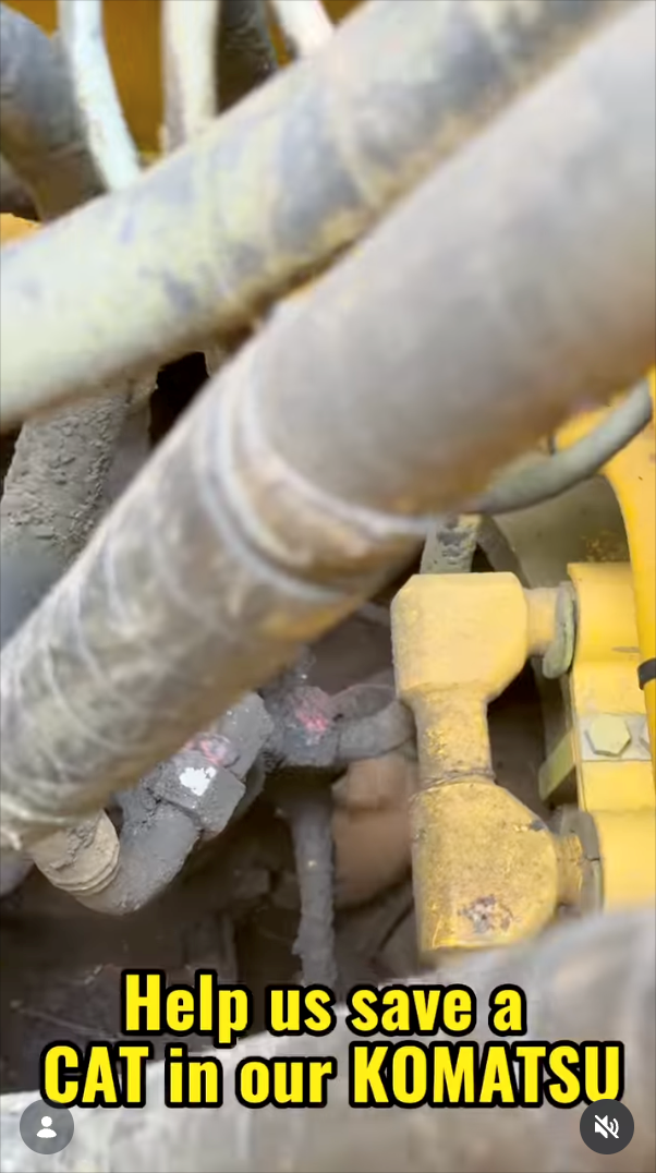 Help us save a CAT in our KOMATSU