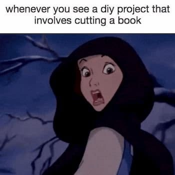 whenever you see a diy project that involves cutting a book