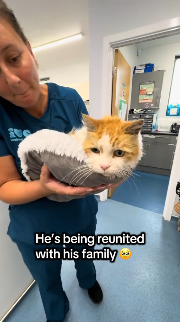 impiring He's being reunited with his family