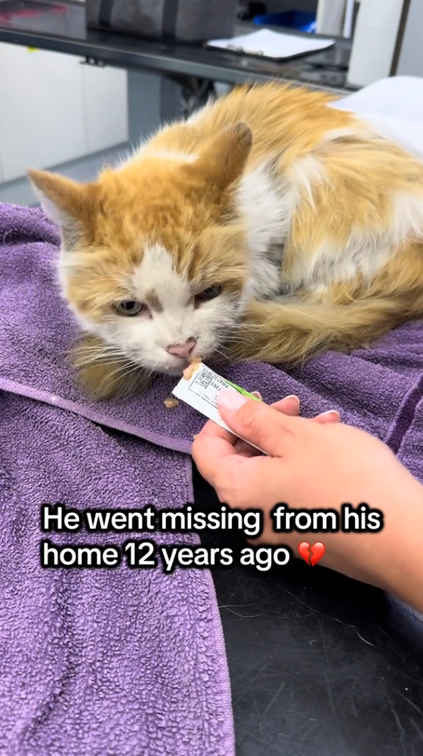 He went missing from his home 12 years ago