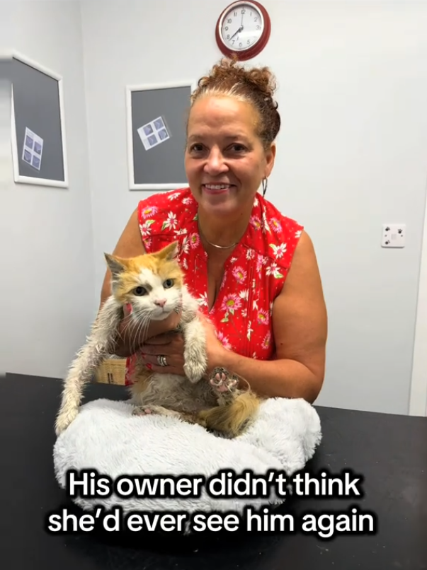 田 His owner didn't think she'd ever see him again