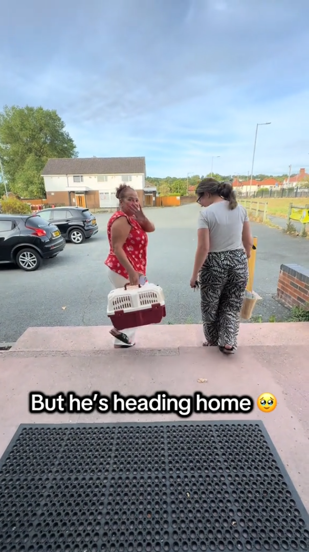 But he's heading home