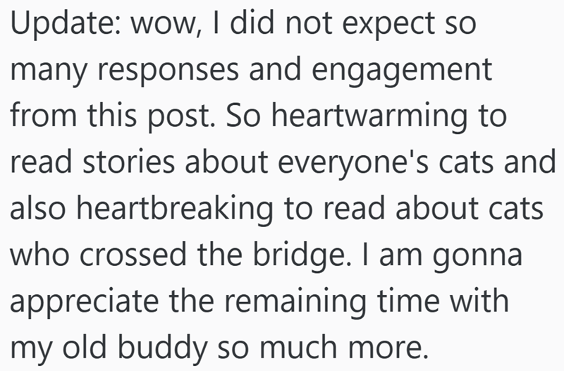 Update: wow, I did not expect so many responses and engagement from this post. So heartwarming to read stories about everyone's cats and also heartbreaking to read about cats who crossed the bridge. I am gonna appreciate the remaining time with my old buddy so much more.