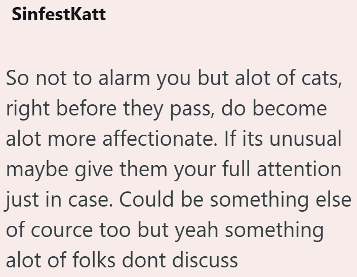 SinfestKatt So not to alarm you but alot of cats, right before they pass, do become alot more affectionate. If its unusual maybe give them your full attention just in case. Could be something else of cource too but yeah something alot of folks dont discuss