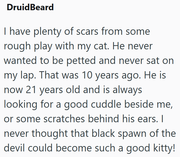 DruidBeard I have plenty of scars from some rough play with my cat. He never wanted to be petted and never sat on my lap. That was 10 years ago. He is now 21 years old and is always looking for a good cuddle beside me, or some scratches behind his ears. I never thought that black spawn of the devil could become such a good kitty!