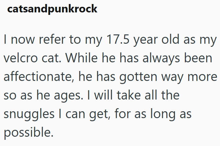 catsandpunkrock I now refer to my 17.5 year old as my velcro cat. While he has always been affectionate, he has gotten way more so as he ages. I will take all the snuggles I can get, for as long as possible.