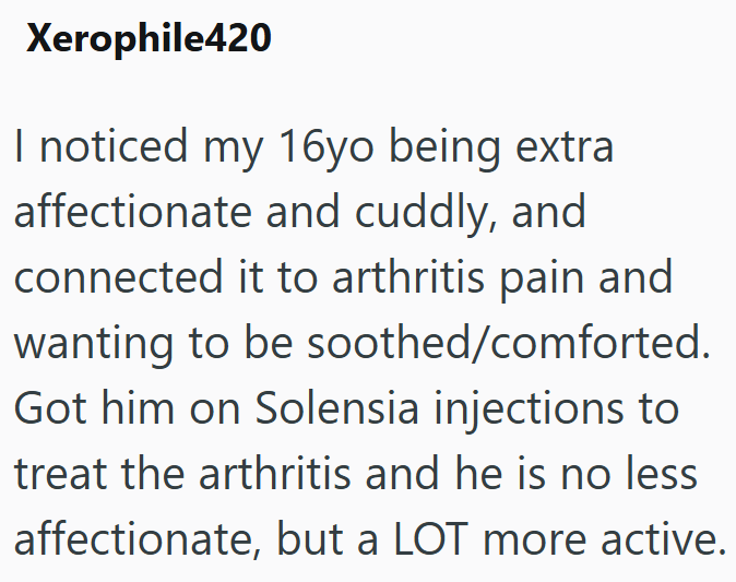 Xerophile420 I noticed my 16yo being extra affectionate and cuddly, and connected it to arthritis pain and wanting to be soothed/comforted. Got him on Solensia injections to treat the arthritis and he is no less affectionate, but a LOT more active.