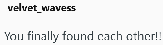 velvet_wavess You finally found each other!!