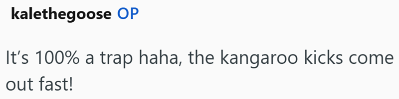kalethegoose OP It's 100% a trap haha, the kangaroo kicks come out fast!
