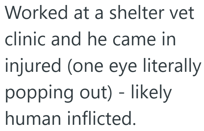 Worked at a shelter vet clinic and he came in injured (one eye literally popping out) - likely human inflicted.