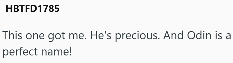 HBTFD1785 This one got me. He's precious. And Odin is a perfect name!