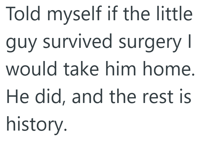 Told myself if the little guy survived surgery I would take him home. He did, and the rest is history.