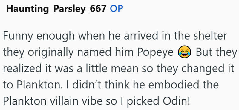 Haunting_Parsley_667 OP Funny enough when he arrived in the shelter they originally named him Popeye ③But they realized it was a little mean so they changed it to Plankton. I didn't think he embodied the Plankton villain vibe so I picked Odin!