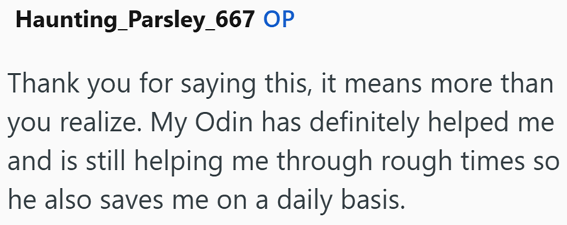 Haunting_Parsley_667 OP Thank you for saying this, it means more than you realize. My Odin has definitely helped me and is still helping me through rough times so he also saves me on a daily basis.
