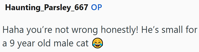 Haunting_Parsley_667 OP Haha you're not wrong honestly! He's small for a 9 year old male cat