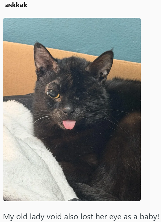 askkak My old lady void also lost her eye as a baby!