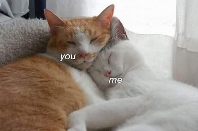 you me