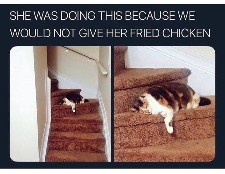 SHE WAS DOING THIS BECAUSE WE WOULD NOT GIVE HER FRIED CHICKEN