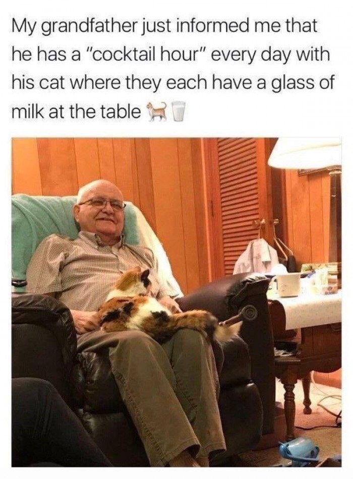 My grandfather just informed me that he has a "cocktail hour" every day with his cat where they each have a glass of milk at the table