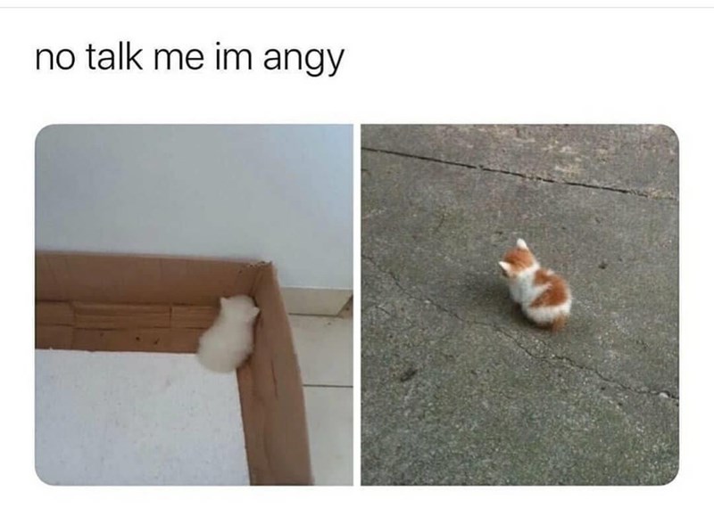no talk me im angy