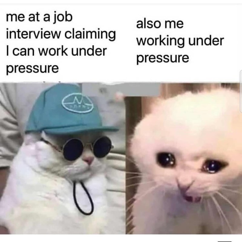 me at a job interview claiming I can work under pressure M also me working under pressure